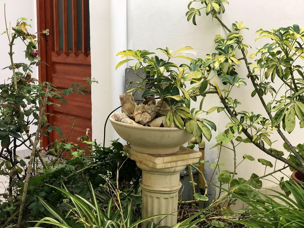 Apart Flavia Carhue Ngoại thất bức ảnh